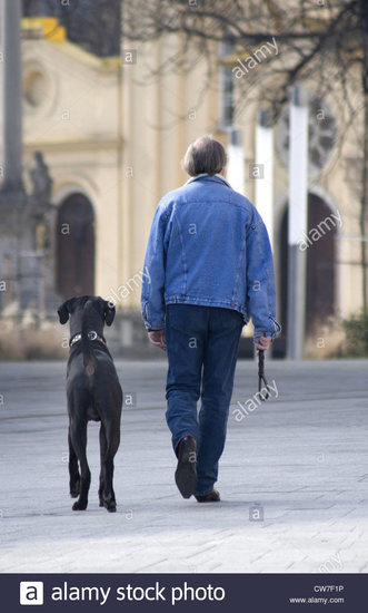 back-view-of-a-dog-walking-with-his-owner-CW7F1P.thumb.jpg.c77bb720efd137185df2bbc5f8478d8a.jpg