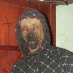 LskM